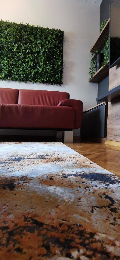 Apartment Wolf